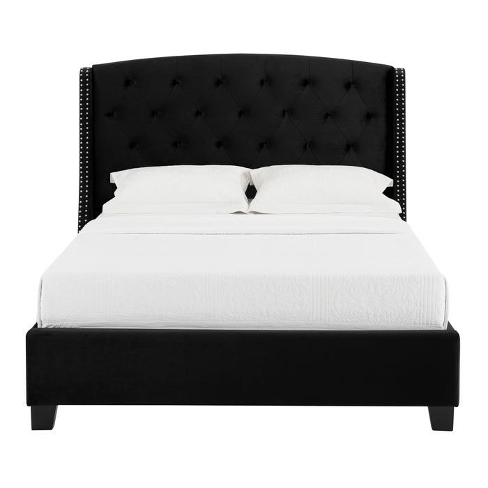 Eva - Queen Bed - Black