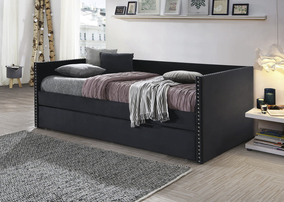 Sadie Daybed Black Velvet