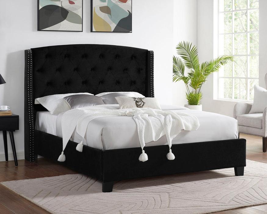 Eva - King Bed - Black